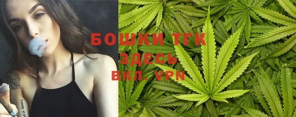 спиды Алексин
