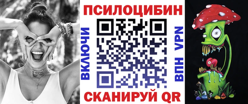 Псилоцибиновые грибы мухоморы  купить наркотик  Рошаль 