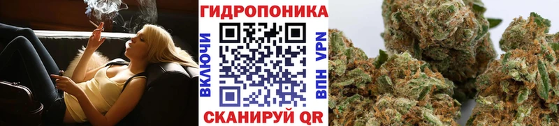 Марихуана White Widow  Рошаль 